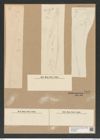 Chaetoceros peruvianus Brightw. (de-Toni-Nr.: Genus 149, Species 4114) Zeichnungen Sammlung Grunow Nr. 7658 (NHMW-BOT-W0376845)